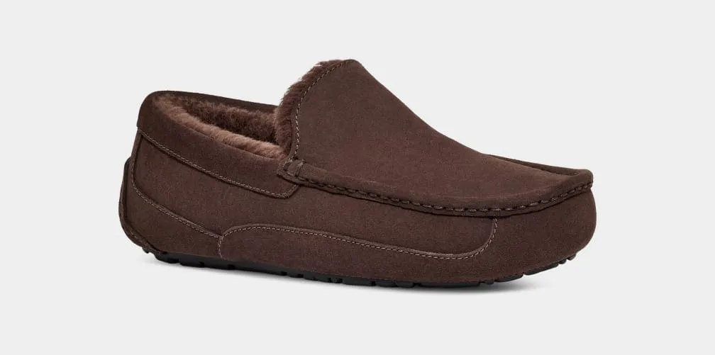 Ascot Suede