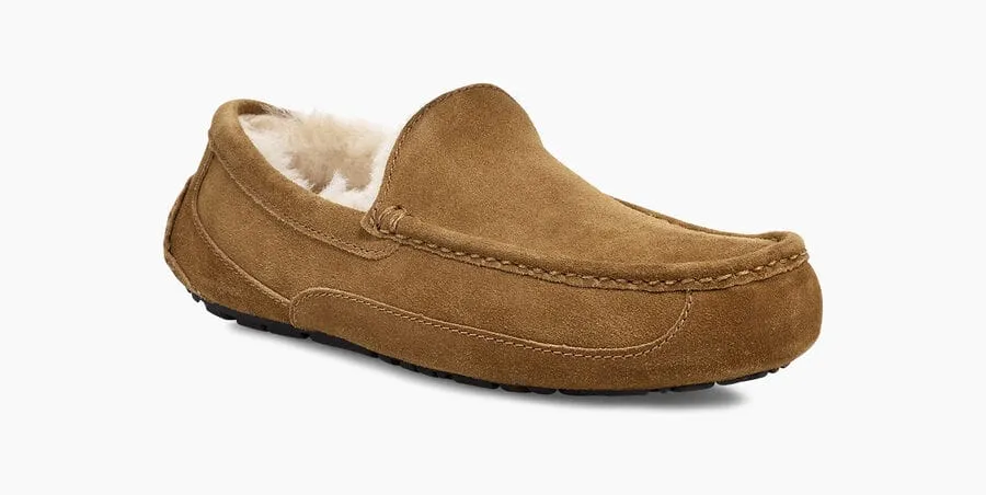 Ascot Suede